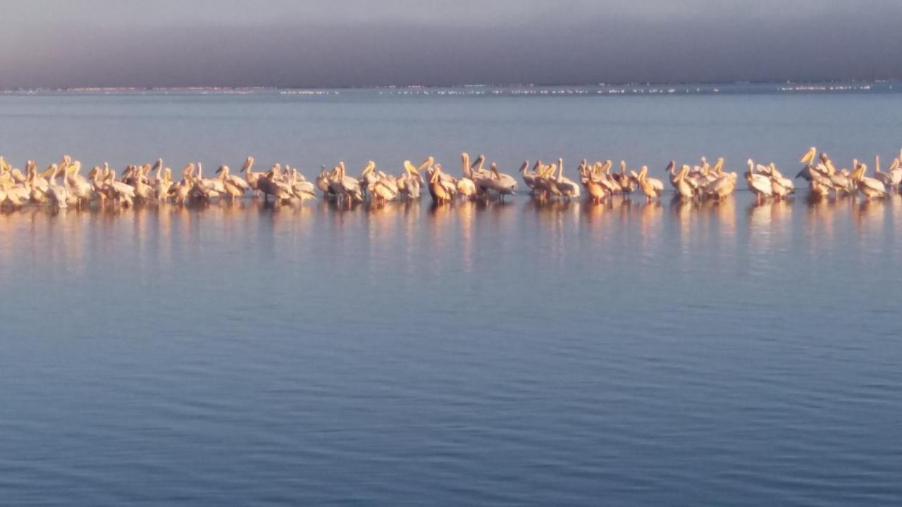 Haus Schaaf B&B Walvis Bay Kültér fotó